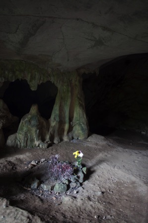 Cuc Phuong National Park